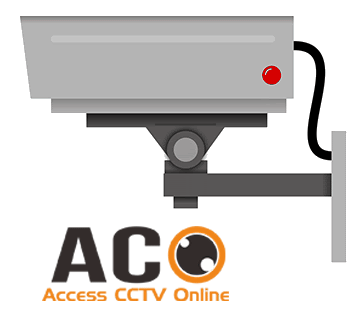 CCTV Online